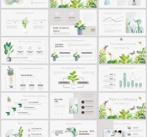 Fresh plant leaves PowerPoint Templates