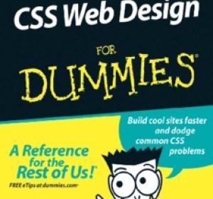 CSS Web Design For Dummies