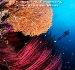 Download Dive Guide to the Philippines