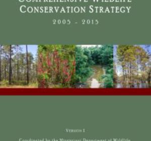 comprehensive wildlife conservation strategy