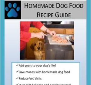 Homemade Dog Food Recipe Guide